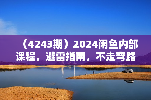 （4243期）2024闲鱼内部课程，避雷指南，不走弯路快速成长