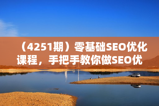 （4251期）零基础SEO优化课程，手把手教你做SEO优化，只讲干货