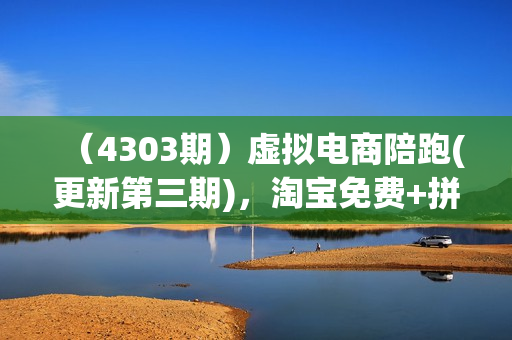 （4303期）虚拟电商陪跑(更新第三期)，淘宝免费+拼多多免费+拼多多轻付费玩法