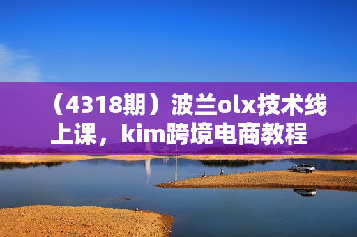 （4318期）波兰olx技术线上课，kim跨境电商教程