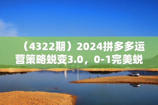 （4322期）2024拼多多运营策略蜕变3.0，0-1完美蜕变，解决运营焦虑，缩短运营周期2年+