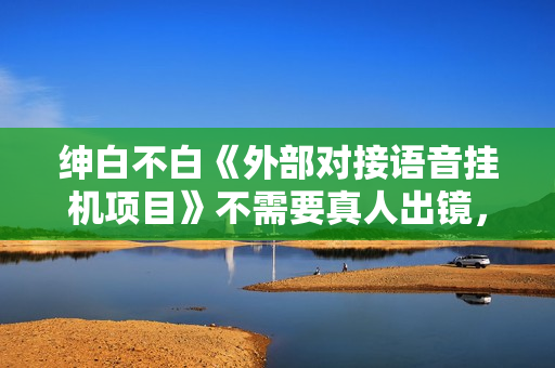 绅白不白《外部对接语音挂机项目》不需要真人出镜，单人基础收益200+