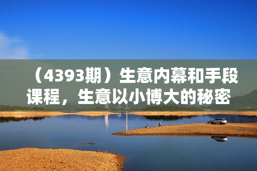 （4393期）生意内幕和手段课程，生意以小博大的秘密，生意可复制的核心干货