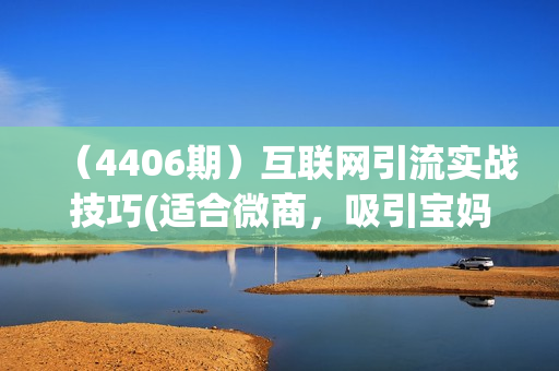 （4406期）互联网引流实战技巧(适合微商，吸引宝妈)，宅家通过互联网赚钱