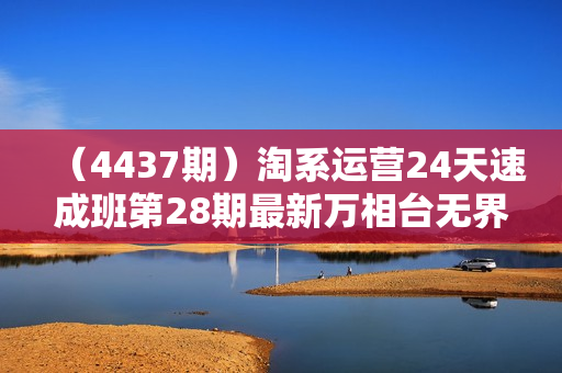 （4437期）淘系运营24天速成班第28期最新万相台无界带免费流量