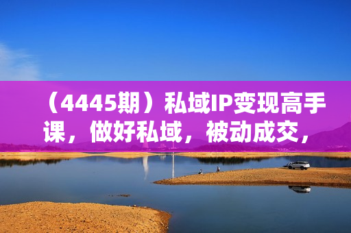 （4445期）私域IP变现高手课，做好私域，被动成交，教你如何打造好朋友圈做好社群