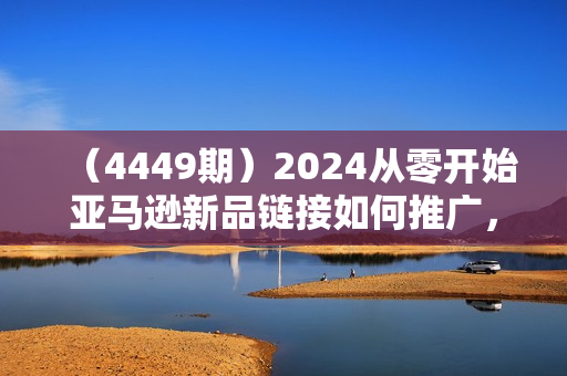 （4449期）2024从零开始亚马逊新品链接如何推广，新手小白快速推广新品的必备