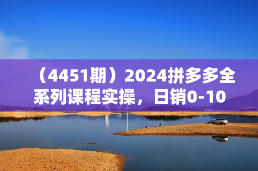 （4451期）2024拼多多全系列课程实操，日销0-100单实操【必看】