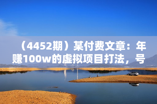 （4452期）某付费文章：年赚100w的虚拟项目打法，号称5000多字没有一句“废话”的文章