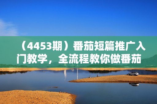 （4453期）番茄短篇推广入门教学，全流程教你做番茄短篇推文