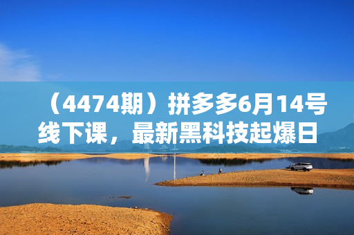 （4474期）拼多多6月14号线下课，最新黑科技起爆日出千单玩法，0元直通车如何起飞一条链接