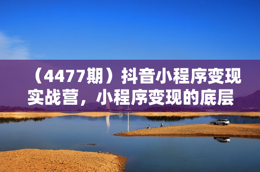 （4477期）抖音小程序变现实战营，小程序变现的底层逻辑，轻松实现流量变现
