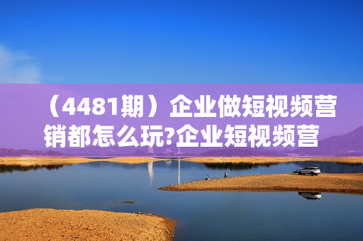 （4481期）企业做短视频营销都怎么玩?企业短视频营销课，帮你打开思路