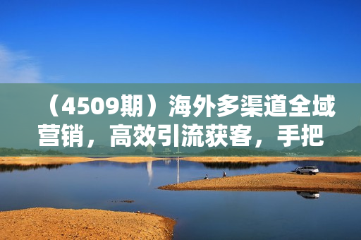 （4509期）海外多渠道全域营销，高效引流获客，手把手带你快速掌握社媒营销