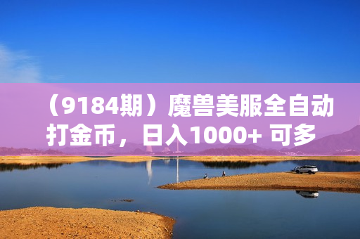 （9184期）魔兽美服全自动打金币，日入1000+ 可多号操作