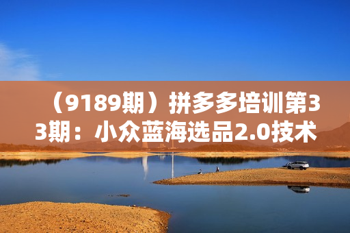 （9189期）拼多多培训第33期：小众蓝海选品2.0技术-蓝海选品实操！