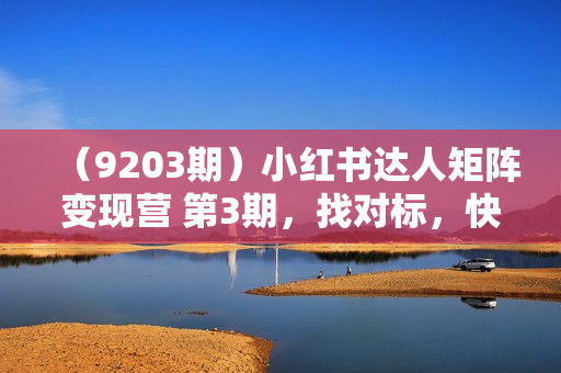 （9203期）小红书达人矩阵变现营 第3期，找对标，快速涨粉，开蒲公英，接广告-11节课