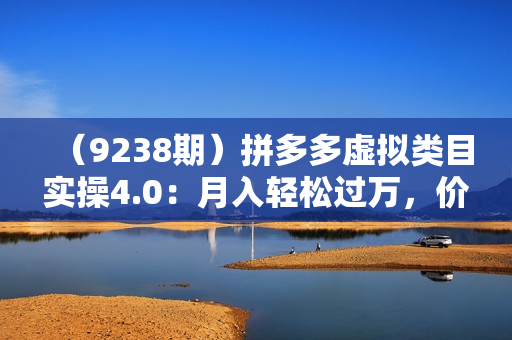 （9238期）拼多多虚拟类目实操4.0：月入轻松过万，价值1980