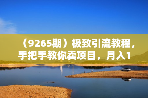 （9265期）极致引流教程，手把手教你卖项目，月入10W+