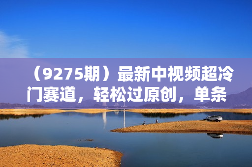 （9275期）最新中视频超冷门赛道，轻松过原创，单条视频收益1000＋