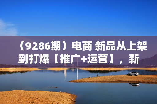 （9286期）电商 新品从上架到打爆【推广+运营】，新手从0打爆款（69节课）
