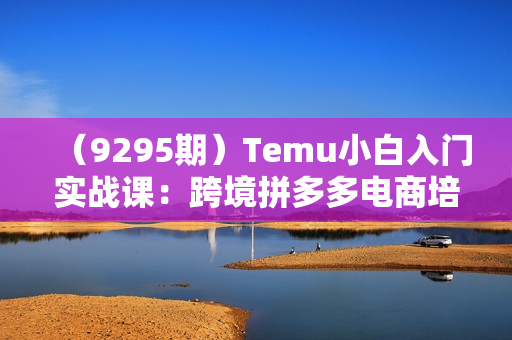 （9295期）Temu小白入门实战课：跨境拼多多电商培训 快速跑通从入驻到出单全流程-12节