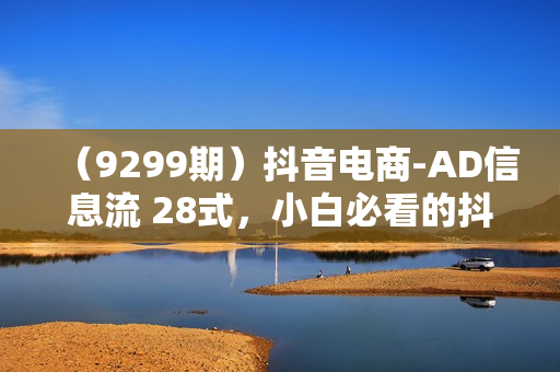 （9299期）抖音电商-AD信息流 28式，小白必看的抖音广告投放课程-29节