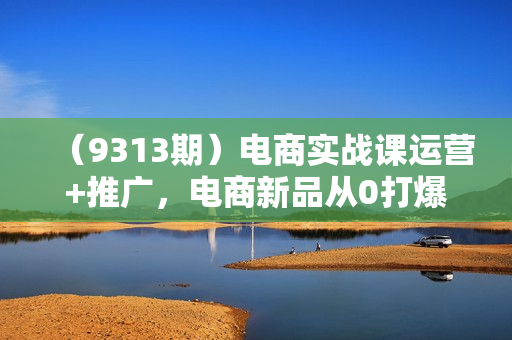 （9313期）电商实战课运营+推广，电商新品从0打爆（99节视频课）