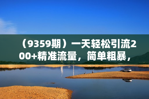 （9359期）一天轻松引流200+精准流量，简单粗暴，一看就会