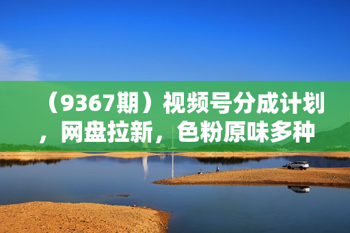（9367期）视频号分成计划，网盘拉新，色粉原味多种变现方式，两分钟生成原创美女