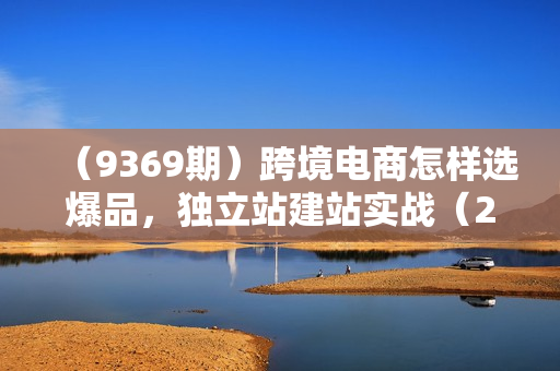 （9369期）跨境电商怎样选爆品，独立站建站实战（20节高清无水印课）