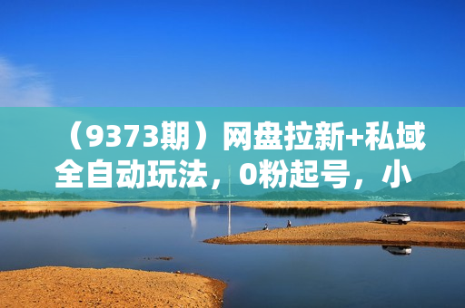 （9373期）网盘拉新+私域全自动玩法，0粉起号，小白可做，当天见收益，已测单日破5000