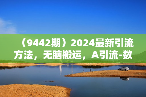 （9442期）2024最新引流方法，无脑搬运，A引流-数字人人性思维