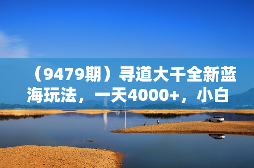 （9479期）寻道大千全新蓝海玩法，一天4000+，小白一部手机即可操作，无脑变现玩法！