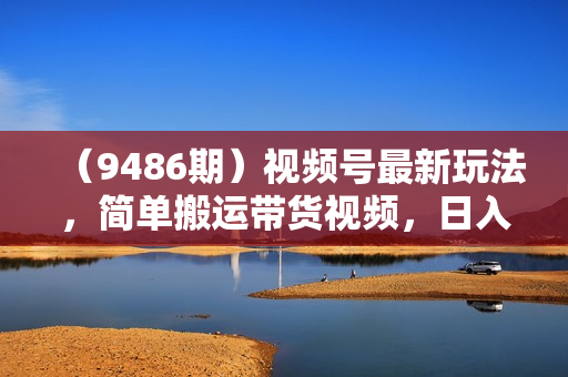 （9486期）视频号最新玩法，简单搬运带货视频，日入2000+，新手小白手机轻松操作