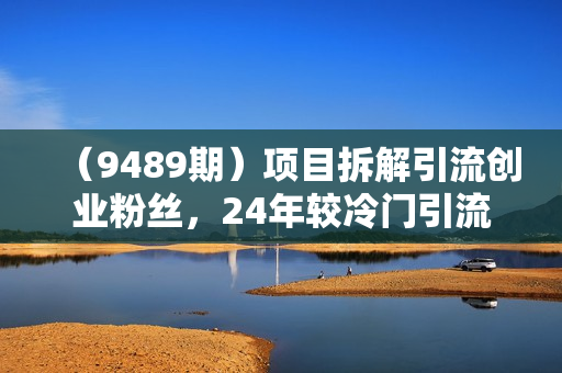 （9489期）项目拆解引流创业粉丝，24年较冷门引流方式，轻松日引100＋