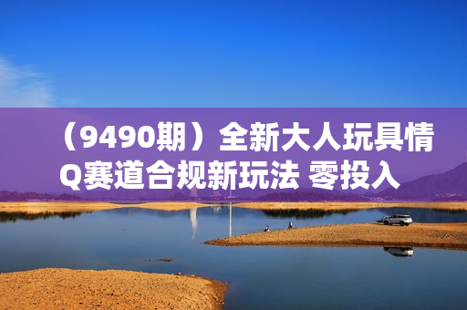 （9490期）全新大人玩具情Q赛道合规新玩法 零投入 不封号流量多渠道变现 3个月变现20W