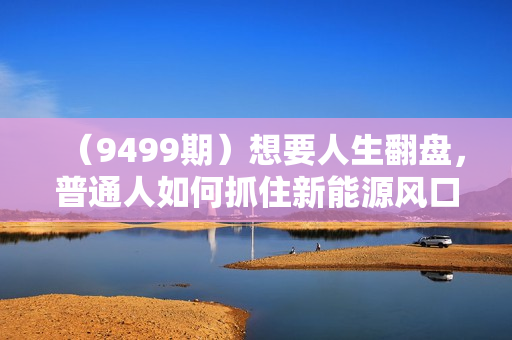 （9499期）想要人生翻盘，普通人如何抓住新能源风口赚钱，落地实战案例课-34节无水印