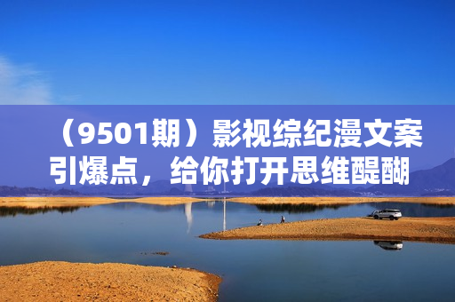 （9501期）影视综纪漫文案引爆点，给你打开思维醍醐灌顶+255种开头详解课（26节）