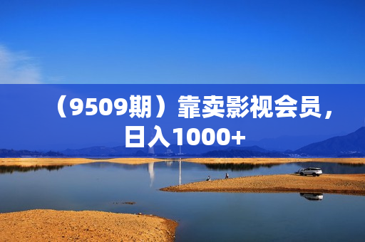 （9509期）靠卖影视会员，日入1000+