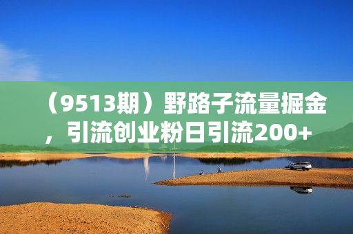 （9513期）野路子流量掘金，引流创业粉日引流200+，两个月变现15W（工作室玩法））