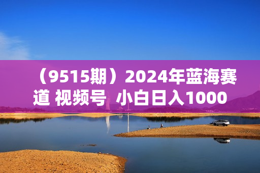 （9515期）2024年蓝海赛道 视频号  小白日入1000+ 落地实操教程