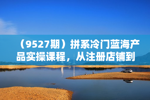 （9527期）拼系冷门蓝海产品实操课程，从注册店铺到选品上架到流量维护环环相扣