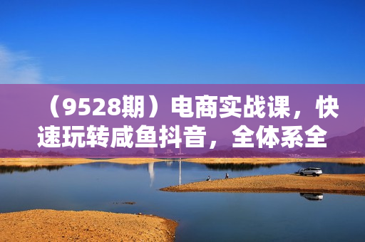 （9528期）电商实战课，快速玩转咸鱼抖音，全体系全流程精细化咸鱼电商运营-71节课