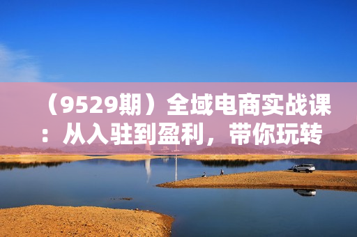 （9529期）全域电商实战课：从入驻到盈利，带你玩转小红书+抖音+拼多多（80节课）