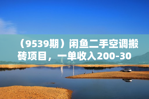 （9539期）闲鱼二手空调搬砖项目，一单收入200-300，适合新手小白上手