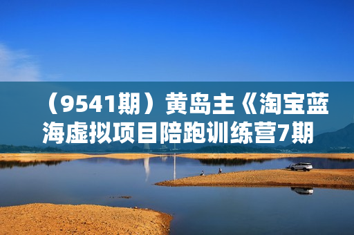 （9541期）黄岛主《淘宝蓝海虚拟项目陪跑训练营7期》每天200到1000+的纯利润