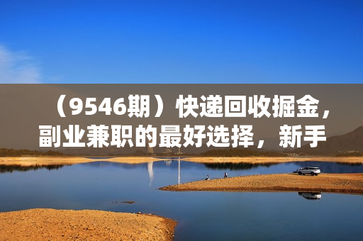 （9546期）快递回收掘金，副业兼职的最好选择，新手小白当天上手，轻松日入2000+