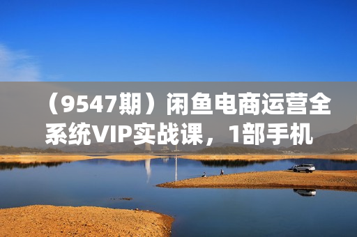 （9547期）闲鱼电商运营全系统VIP实战课，1部手机随时随地卖货，新手日出30单月入5000