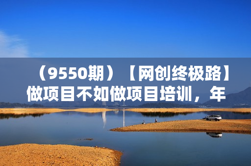 （9550期）【网创终极路】做项目不如做项目培训，年入50万